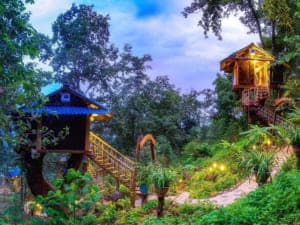 Các món ăn từ HẠT ĐIỀU 1