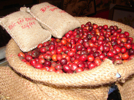 Cà phê Đức Lập 1