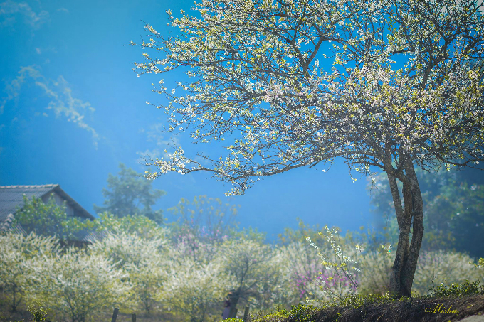 Sơn La (Đang cập nhật)