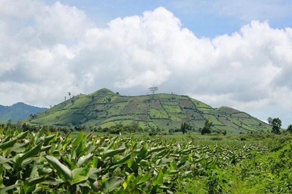 Gia Lai (Đang cập nhật)