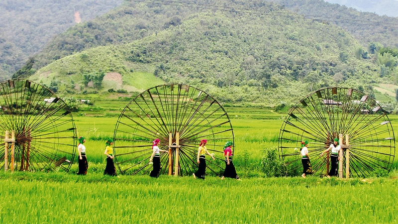 Sơn La 104
