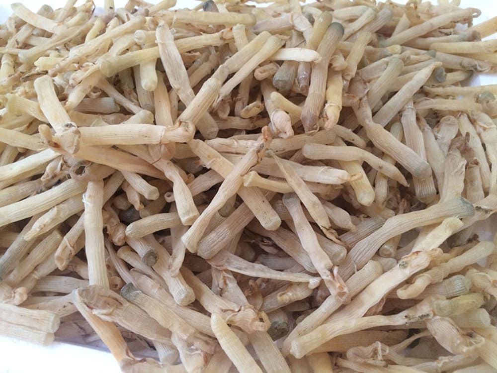 Trọn bộ cẩm nang du lịch Bãi Cháy Quảng Ninh chi tiết nhất 45