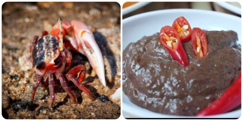 Mắm còng Cần Giuộc - Món ăn đặc sản nức tiếng Tây Ninh 1