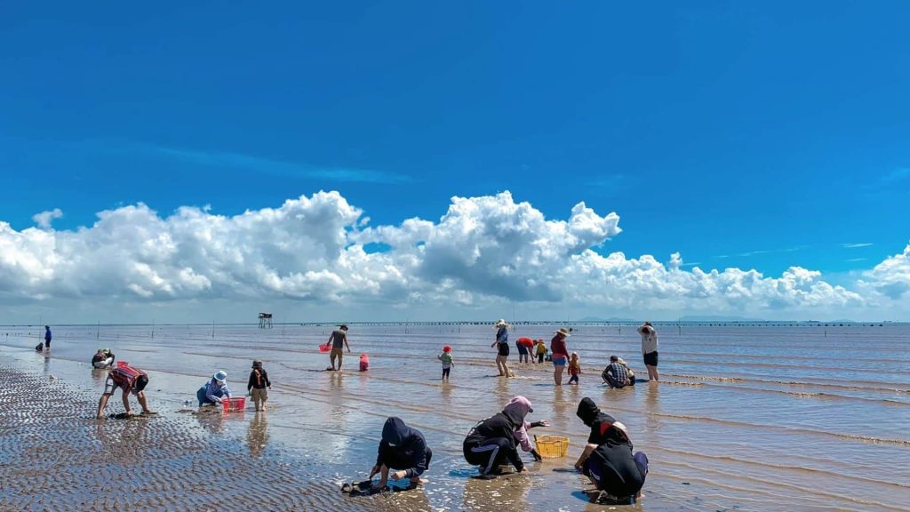 Biển Tân Thành Tiền Giang với nét thu hút ấn tượng 1