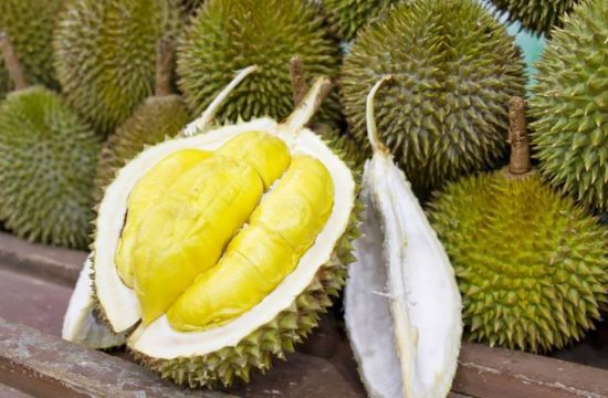 Sầu riêng Ngũ Hiệp và hương vị nức lòng người 35