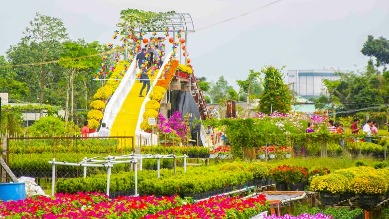 Khám phá làng hoa Sa Đéc: Thủ phủ hoa lớn nhất miền Tây 19