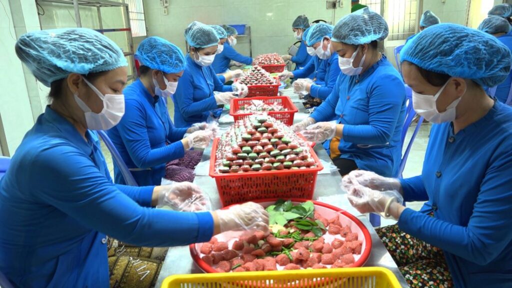 Lịch Trình cho tour Đồng Tháp 3 ngày 2 đêm 21