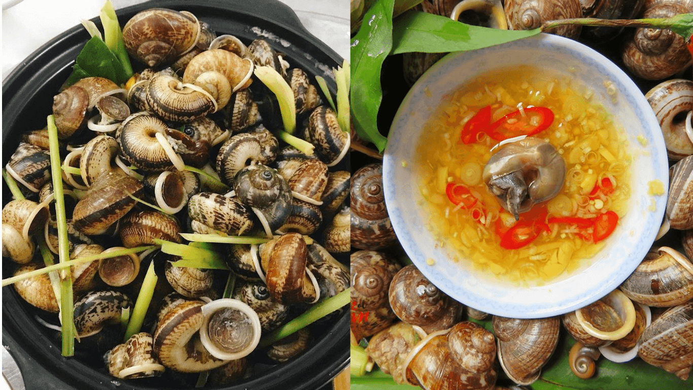 Ốc núi Ninh Bình: Đặc sản lạ miệng, đậm vị núi rừng cố đô 1