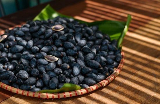 Trám đen - sản vật quý của Hà Châu 27