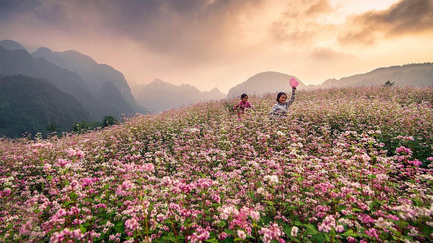 Cao Nguyên Đá Đồng Văn: Viên Ngọc Quý Của Tuyên Quang 7