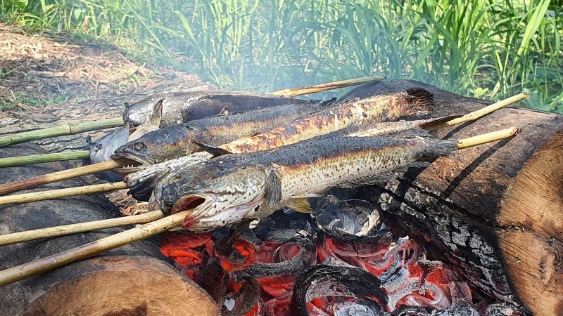 Cá lóc nướng trui 3
