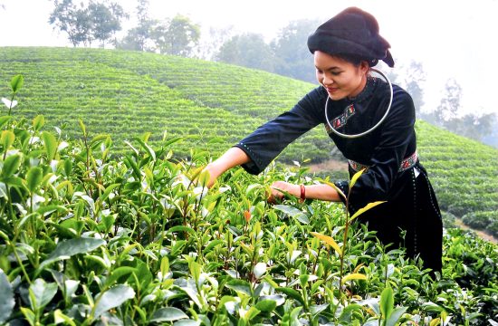 Gợi ý lịch trình 4N3Đ du lịch Thái Nguyên 9