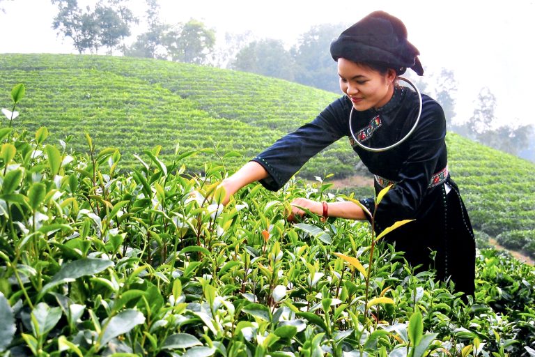 Gợi ý lịch trình 4N3Đ du lịch Thái Nguyên