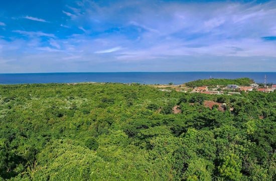 Tour 3 ngày 2 đêm (Lựa chọn 2) 13