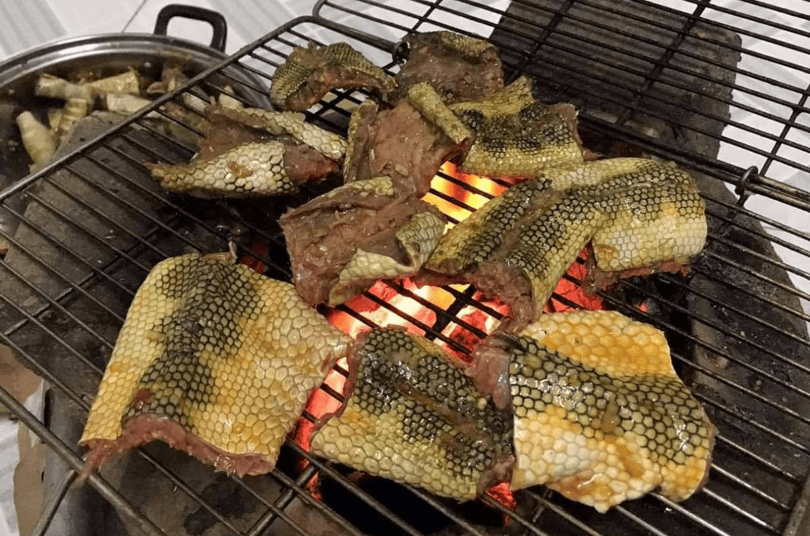 Chả đẻn biển: Hương vị độc lạ khó quen 5
