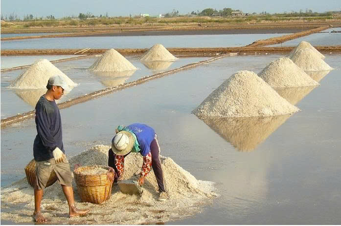 Nghề làm muối ở Cà Mau 3