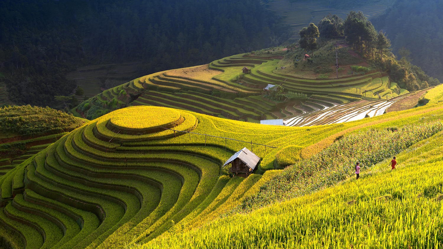 Chinh phục Đèo Mã Pì Lèng: Hành trình đến Tứ Đại Đỉnh Đèo Tuyên Quang 1