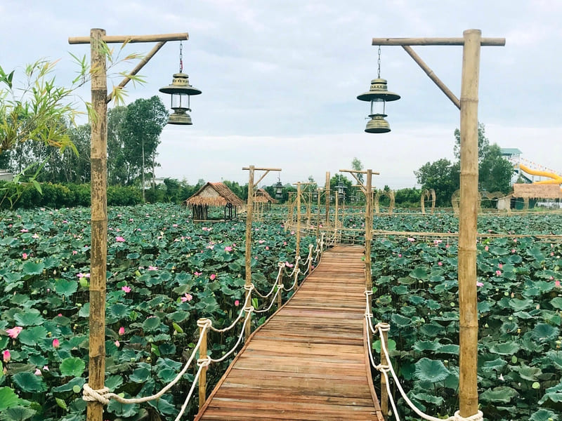 Khu du lịch Văn hóa Phương Nam Đồng Tháp 3