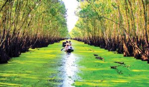 Vietnam Tourist (chi nhánh Cần Thơ) – Tour 1N từ Cần Thơ ra Châu Đốc – Trà Sư Giá: 850.000 ₫/khách cho tour 1 ngày 1 đêm  15
