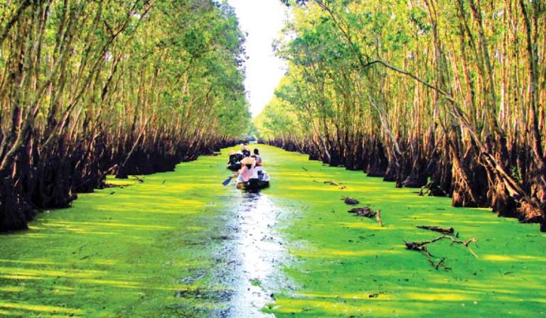 Vietnam Tourist (chi nhánh Cần Thơ) – Tour 1N từ Cần Thơ ra Châu Đốc – Trà Sư Giá: 850.000 ₫/khách cho tour 1 ngày 1 đêm 