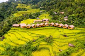 Hoang Su Phi Lodge 11