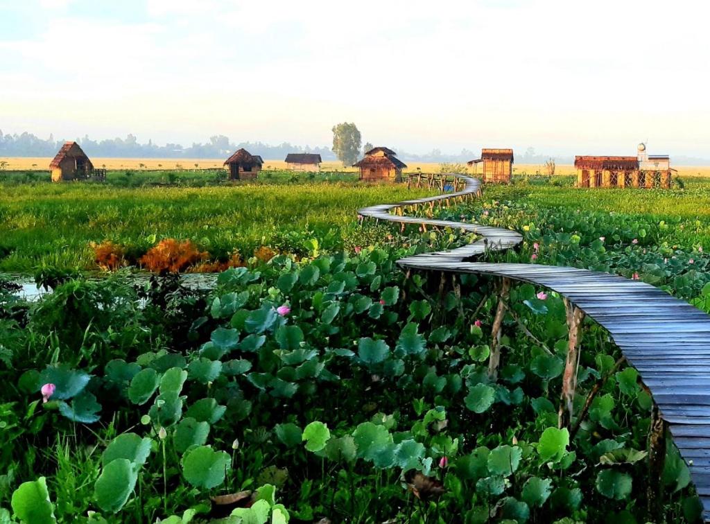 Việt Mekong Farmstay 2 Việt Mekong Farmstay 1