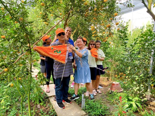 tour đồng tháp 1 ngày
