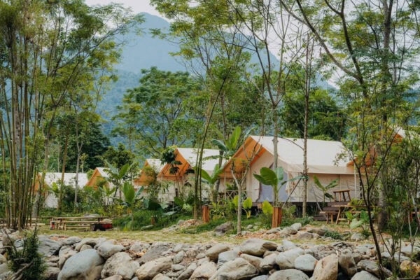 Một Ngày Ở Trong Rừng Glamping