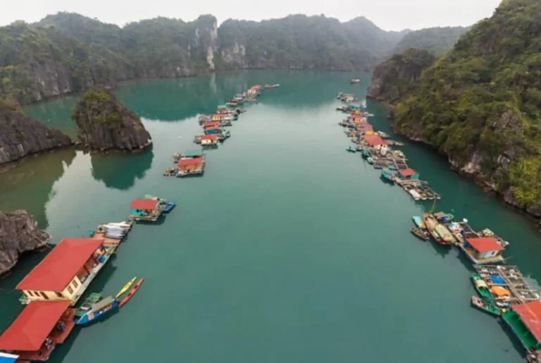 Nghỉ dưỡng giữa kỳ quan thiên nhiên thế giới: Tour 3N2Đ khám phá Hạ Long – Vịnh Bái Tử Long – Làng chài Cửa Vạn