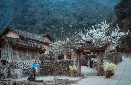 Tour Combo: Việt Long Travel 9