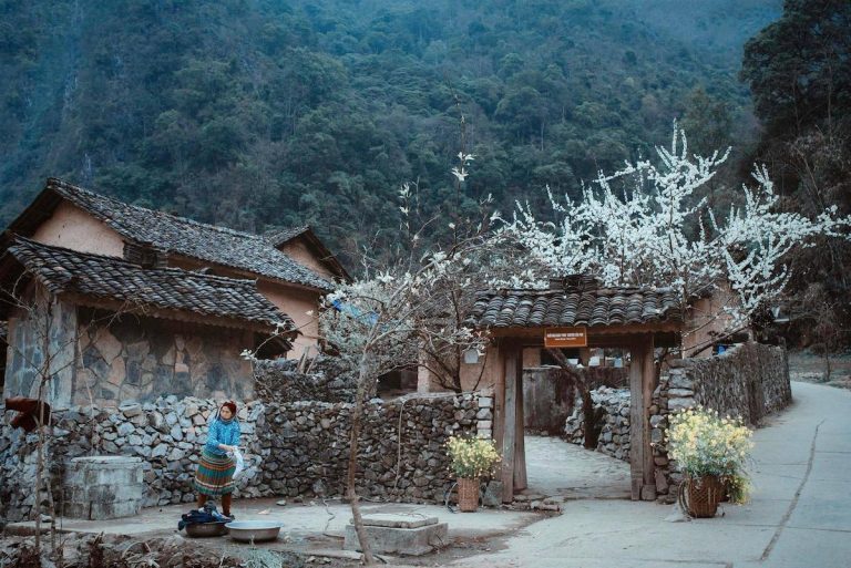 Tour Combo: Việt Long Travel
