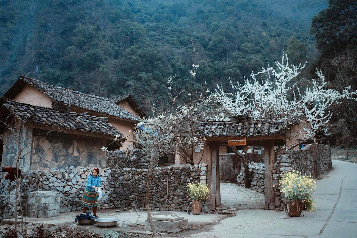 Phố cổ Đồng Văn: Lãng mạn giữa lòng cao nguyên đá Tuyên Quang 5