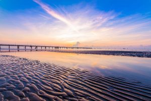 Biển Tân Thành Tiền Giang với nét thu hút ấn tượng 57