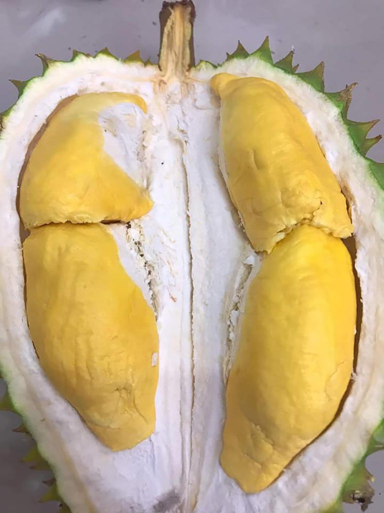 Sầu riêng Ngũ Hiệp và hương vị nức lòng người 7