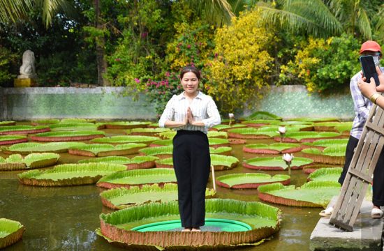 Vãn cảnh chùa Lá Sen, chiêm ngưỡng “vua” của các loại sen khổng lồ 7