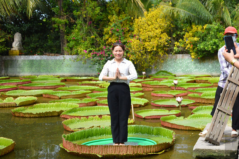 Vãn cảnh chùa Lá Sen, chiêm ngưỡng “vua” của các loại sen khổng lồ 9