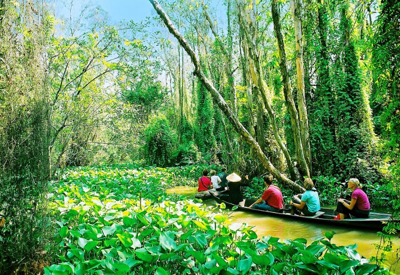Khu di tích Xẻo Quít (Xẻo Quýt): Điểm du lịch độc đáo ở Đồng Tháp 7