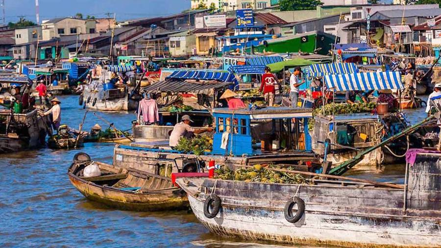 Chợ Nổi Cà Mau: Nét Văn Hóa Sông Nước Đặc Sắc 5