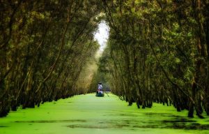 Camping Eco Zone – Cắm trại sinh thái giữa rừng tràm Trà Sư 11