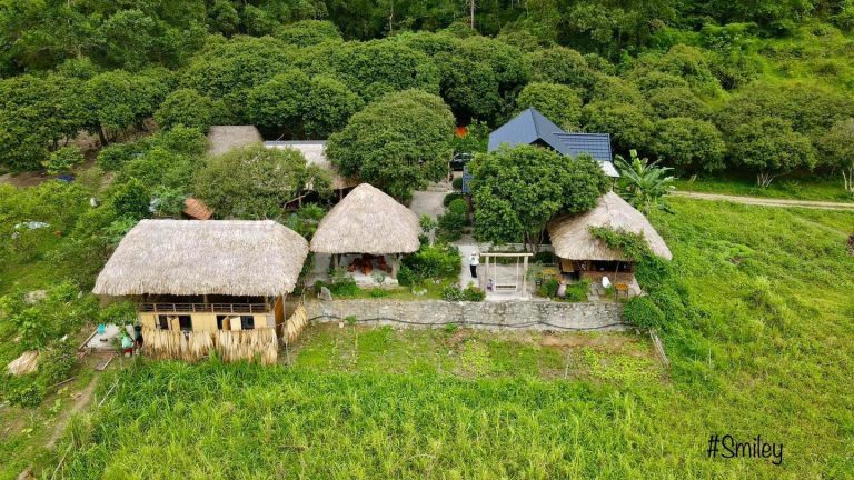 Lion Farmstay Cát Bà: Khu Nghỉ Dưỡng Gần Gũi Thiên Nhiên Trong Thung Lũng Liên Minh