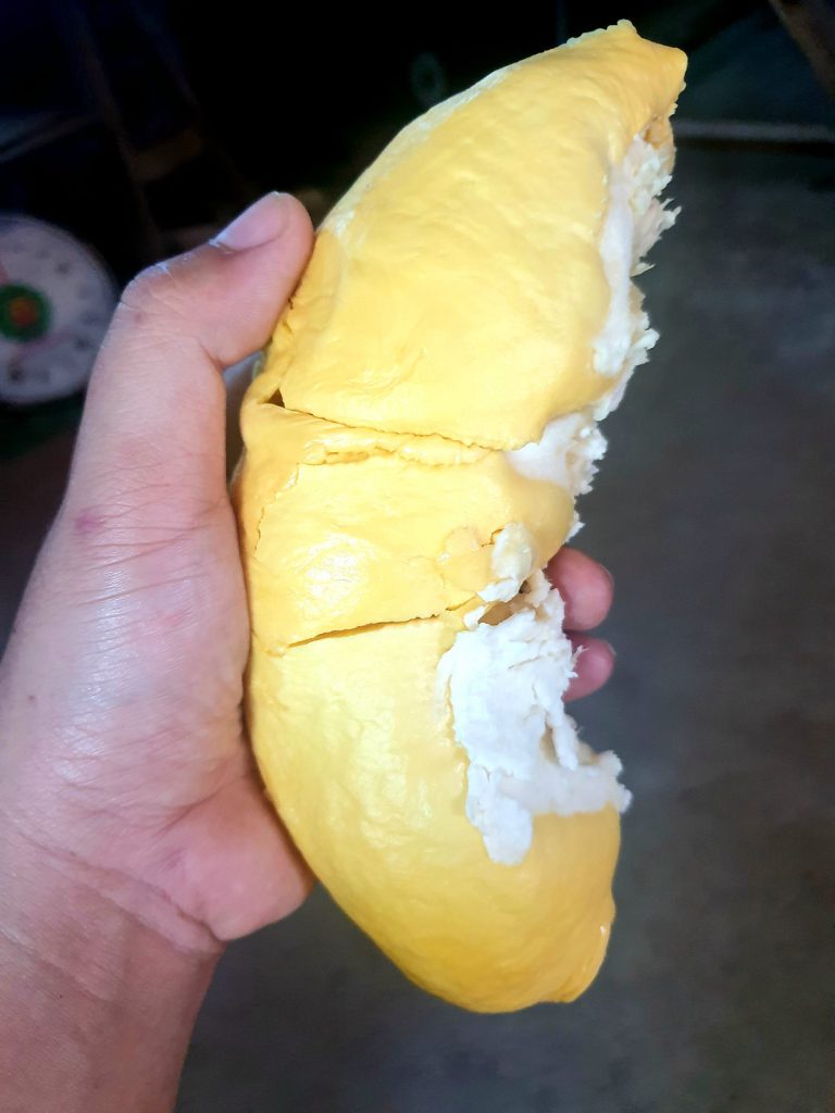 Sầu riêng Ngũ Hiệp và hương vị nức lòng người 9