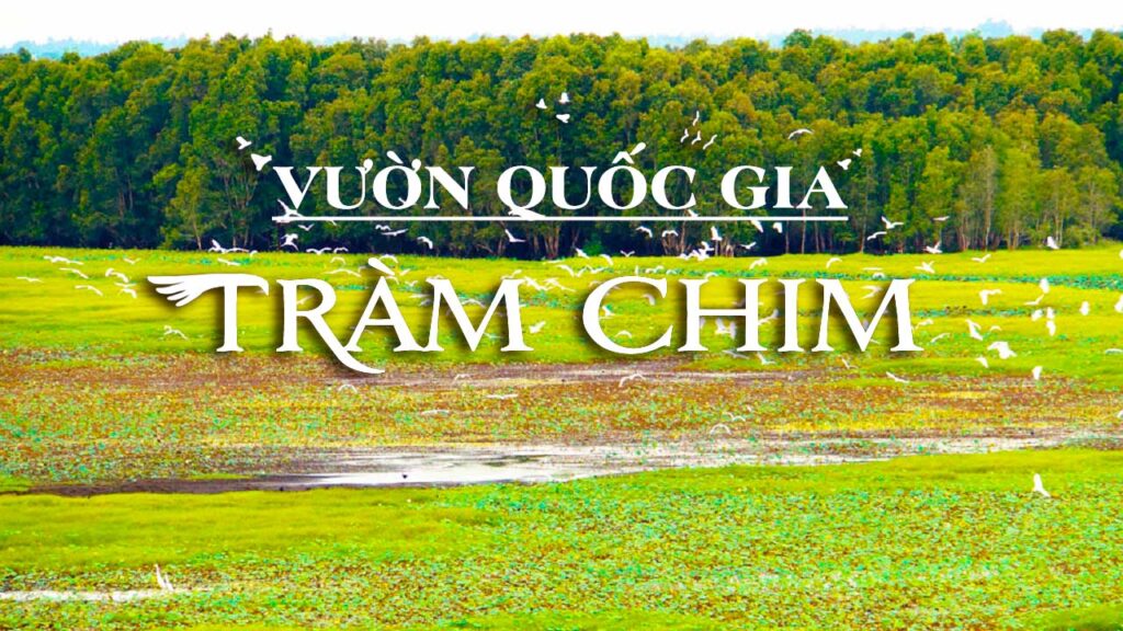 Lịch Trình cho tour Đồng Tháp 3 ngày 2 đêm 7