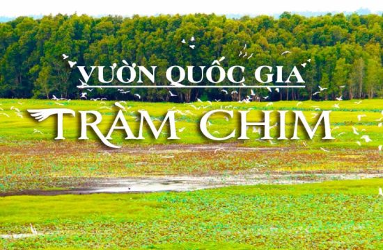 4 ngày 3 đêm Du lịch Đồng Tháp 1