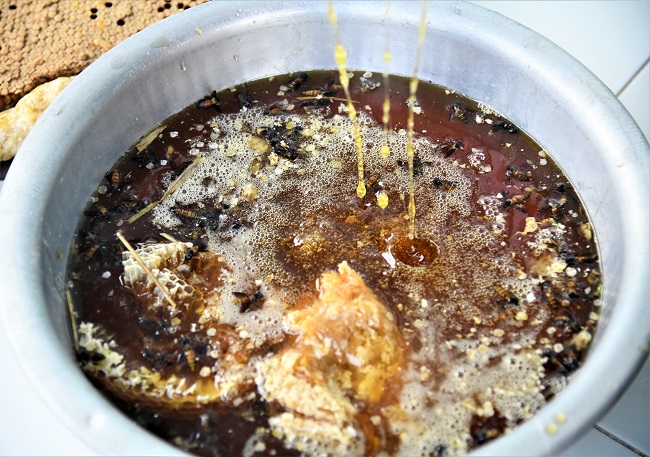 Nghề Gác Kèo Ong ở Cà Mau 9