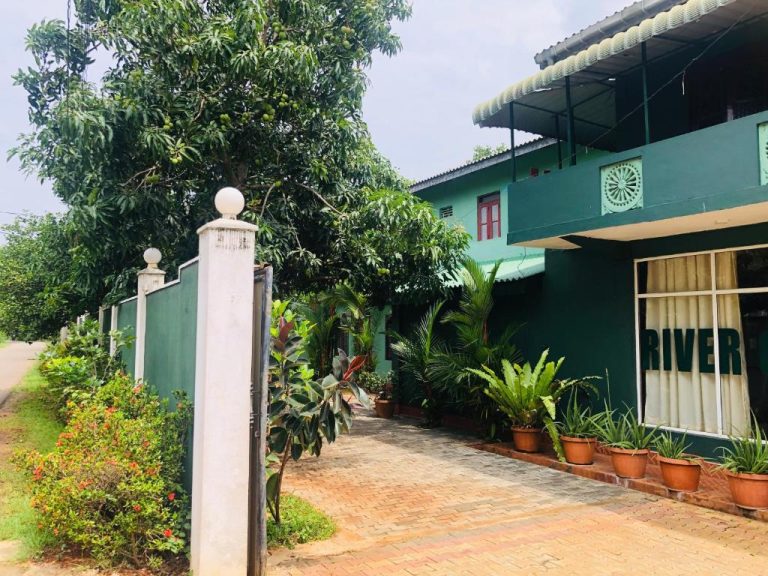 River Garden Bungalow – Ẩn mình trong khu vườn xanh mướt tại Tam Bình