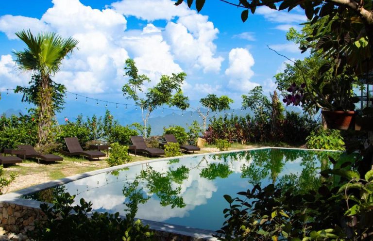 TVpalm Ecolodge