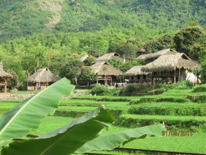 Kho Mường Eco Camp 15