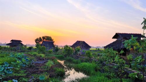 Việt Mekong Farmstay 29