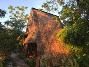 Maison en Bambou 7