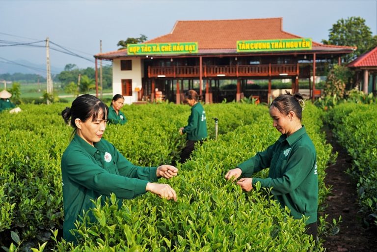 Tour ghép đoàn Hồ Ba Bể – Động Hua Mạ – Thác Tát Mạ – 2 ngày 1 đêm